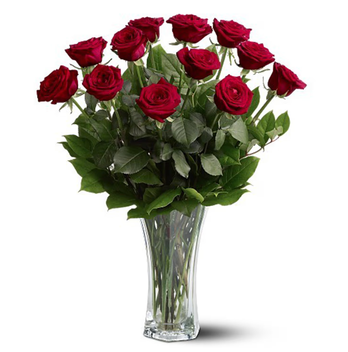 Dozen Roses